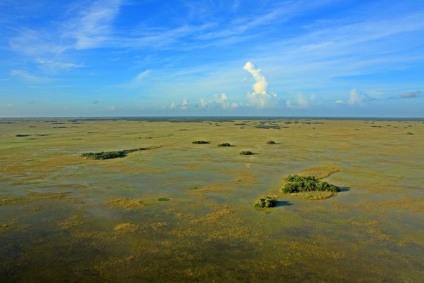 everglades_from-the-air_300dpi